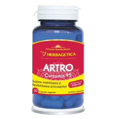 Artro Curcumin 95, Herbagetica | 30 capsule
