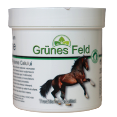 Crema Puterea Calului Grunes Feld, Elina Med | 250 ml