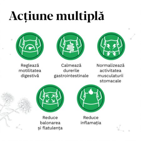 Poza produs Iberogast picaturi orale, Bayer | 20 ml
