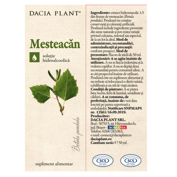 Poza produs Tinctura Mesteacan, Dacia Plant | 50 ml