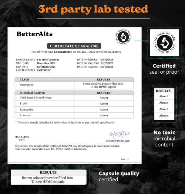 Poza produs Better Alt Shilajit Sea Moss, Formula de Shilajit cu Alge Marine, Ashwagandha si Tongkat Ali, General Nutrition Corp | 120 cps