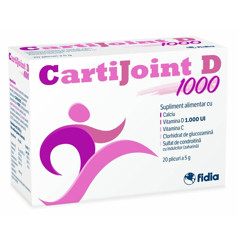 Cartijoint D1000, Fidia Farmaceutici | 20 plicuri x 5 g