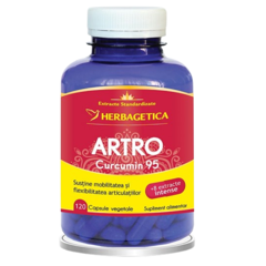 Artro Curcumin 95, Herbagetica | 120 capsule