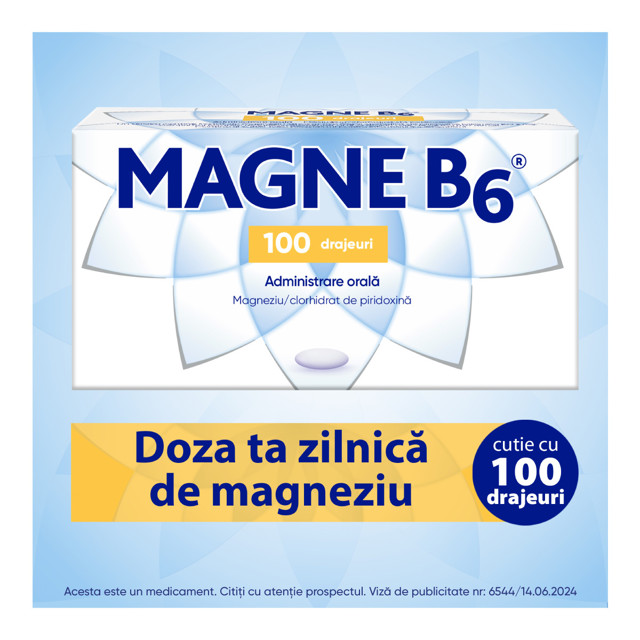 Poza produs Magne B6, Sanofi | 100 drajeuri