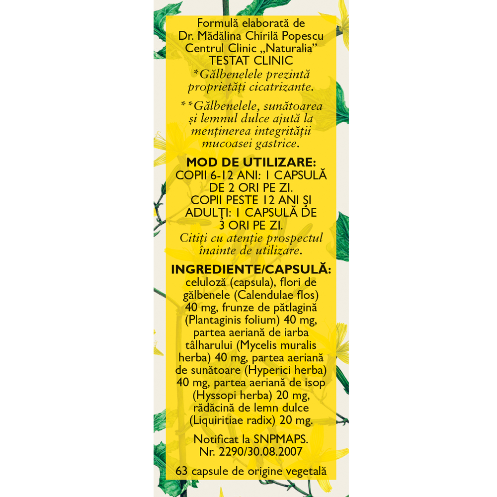 Poza produs Stomac Sanatos D49, Fares | 63 capsule