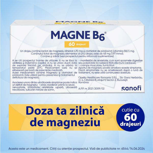 Poza produs Magne B6, Sanofi | 60 drajeuri