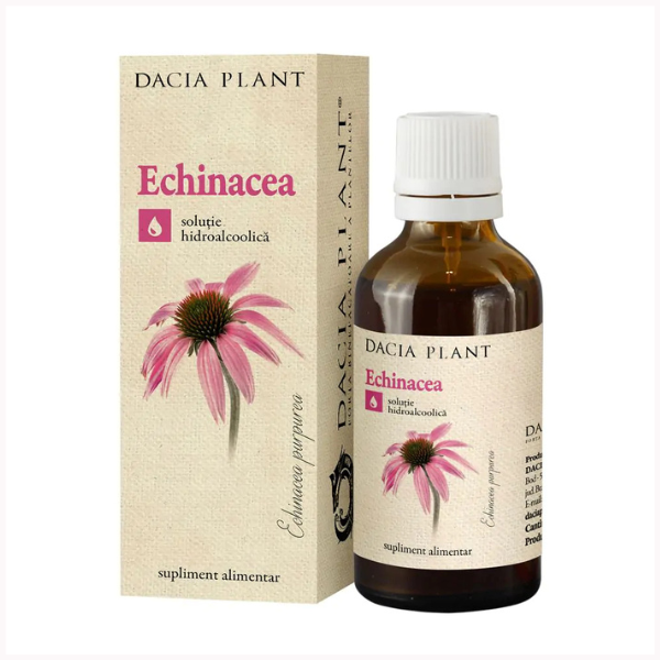 Poza produs Tinctura Echinacea, Dacia Plant | 50 ml