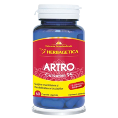 Artro Curcumin 95, Herbagetica | 60 capsule