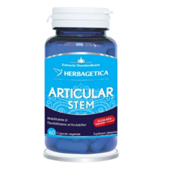 Articular Stem, Herbagetica | 60 capsule