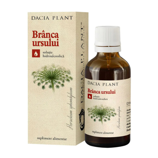 Poza produs Tinctura Branca Ursului, Dacia Plant | 50 ml