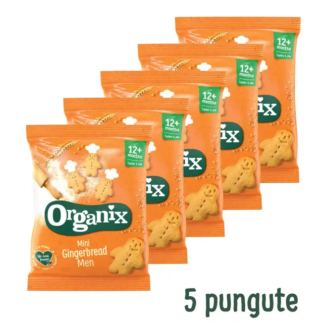 Poza produs MINI BISCUITI ECOLOGICI BIO CU GHIMBIR 12+ LUNI 5X20G 100659