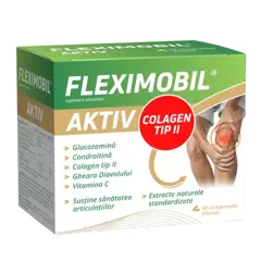 FLEXIMOBIL AKTIV X60CAPS