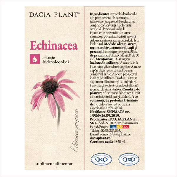 Poza produs Tinctura Echinacea, Dacia Plant | 50 ml