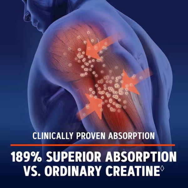 GNC AMP Creatine HCl 189, Creatina Clorhidrat cu Administrare si Absorbtie Rapida | 120 tb — poza produs 12/13