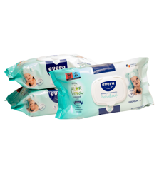 SERVETELE IGIENIZANTE EVERA 80BUC