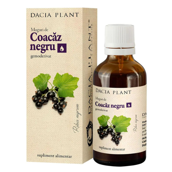 Poza produs Coacaz Negru Muguri Gemoderivat, Dacia Plant | 50 ml