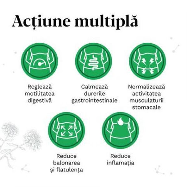 Poza produs Iberogast picaturi orale, Bayer | 50 ml