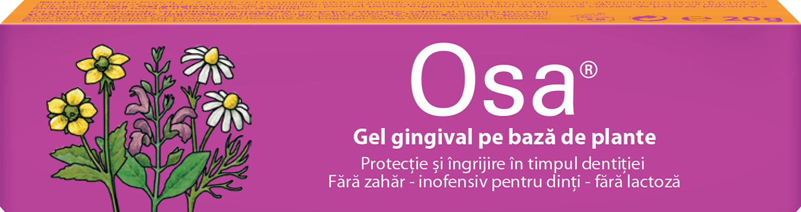 Osa gel gingival pentru eruptii dentare pe baza de plante, Dr. A. & L. Schmidgall | 20 g — poza produs 2/4