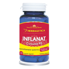 Inflanat Curcumin95, Herbagetica | 30 capsule