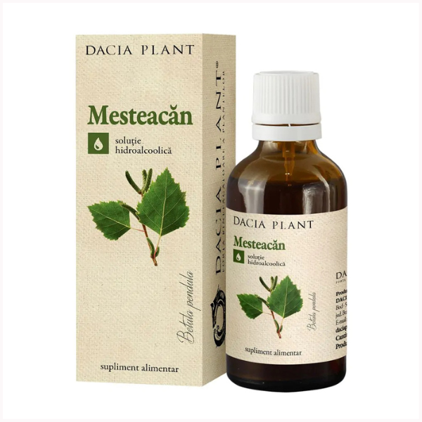 Poza produs Tinctura Mesteacan, Dacia Plant | 50 ml