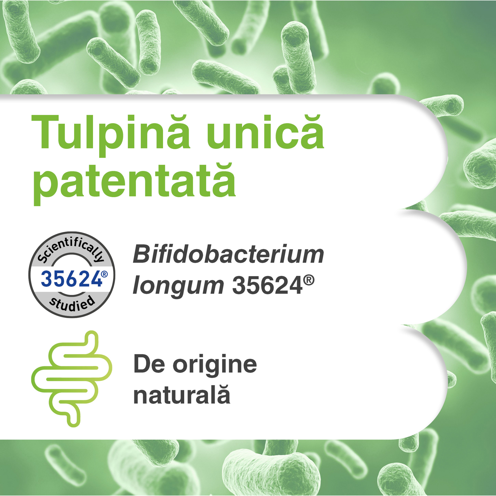 Poza produs Symbiosys Aflorex, Biocodex | 30 capsule