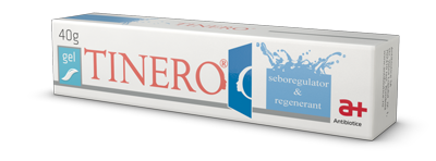 Poza produs Tinero gel, Antibiotice SA | 40 g