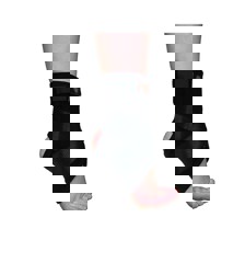 Orteza glezna cu suport ligamente ARA5402, Neomed