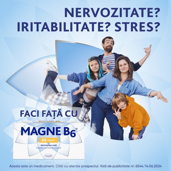 Poza produs Magne B6, Sanofi | 60 drajeuri