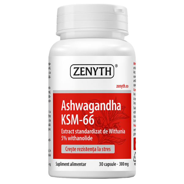 Ashwagandha KSM-66 300 mg, Zenyth | 30 capsule