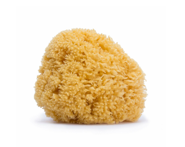 Aceasta este imaginea corespunzatoare acestui obiect